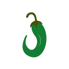 chili,icon,color, design,flat, style,trendy collection,template