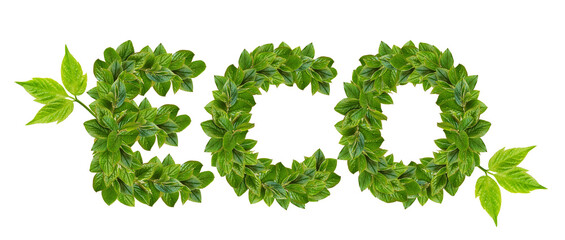 Green leaves forming ECO inscription isolated on white or transparent background