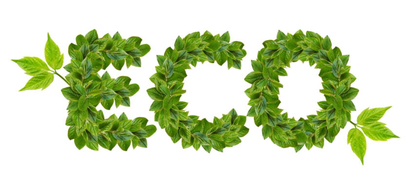 Green leaves forming ECO inscription isolated on white or transparent background
