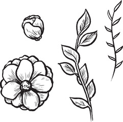 Flowers and branches ink illustration. Ink vector drawings set. 