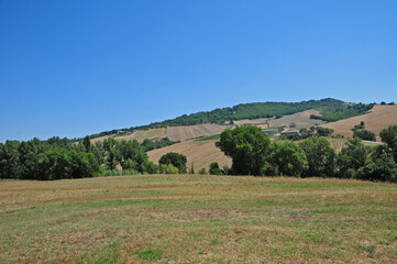 Le colline e le montagne marchigiane a Cupramontana, Ancona - Marche