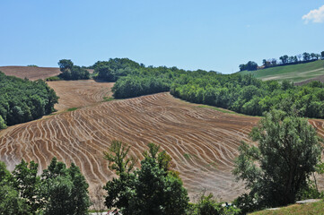 Le colline e le montagne marchigiane a Cupramontana, Ancona - Marche