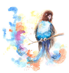 Blue-masked lovebird. Pale blue parrot sitting on a branch. Romantic realistic illustration - soft watercolor graphics on paper. Isolated on white background.