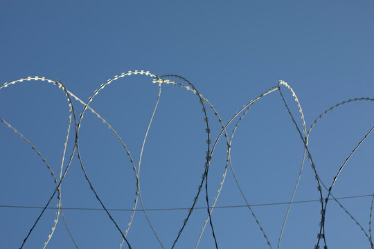 Barbed wire rings on fence. Protected area.