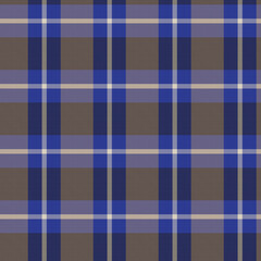 Blue Minimal Plaid textured Seamless Pattern