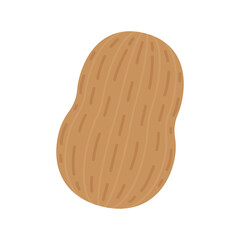 Peanut cartoon vector. Peanut on white background.