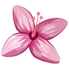 Wildflower Illustration. Floral Isolated