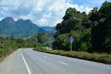 Road is a road for cars to drive. Surrounded by natural mountain trees