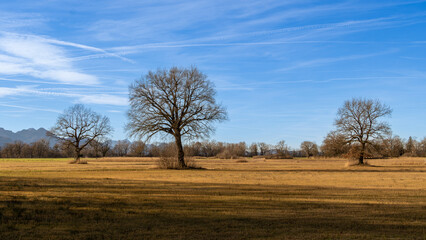 Fototapeta premium Kalter Sonniger Winter Morgen 
