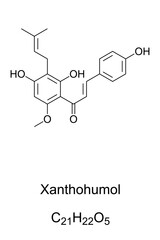 Xanthohumol, chemical formula. Natural product found in blossoms of hops, Humulus lupulus. Also found in beer, belonging to a class of compounds, that contribute to the bitterness and flavor of hops.