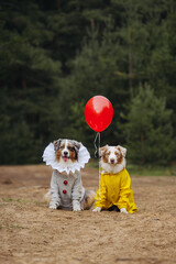 australian shepherd halloween outfits