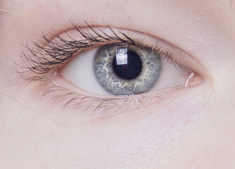 Fototapeta premium close up of woman blue eye