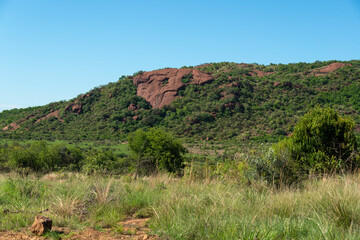 Fototapeta na wymiar Parc national du Pilanesberg, Afrique du Sud