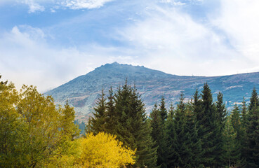 Fototapeta na wymiar Mountain Landscape with Pine Trees and Cloudy Foggy Sky . Vitosha Mountain , Bulgaria 