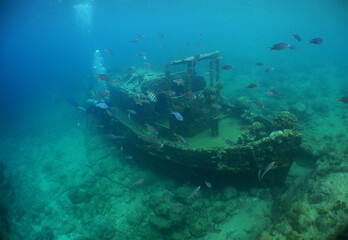 Naklejka na ściany i meble a small sunken ship in the crystal clear waters of the caribbean sea