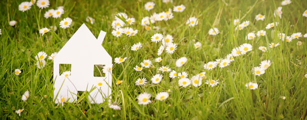 House in a meadow with daisy flowers, buying or renting a home in nature, real estate concept
