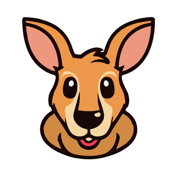 Baby Kangoroo