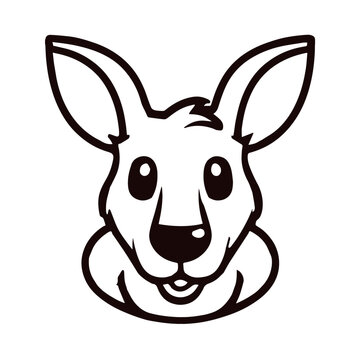 Baby Kangoroo