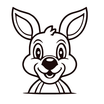 Baby Kangoroo
