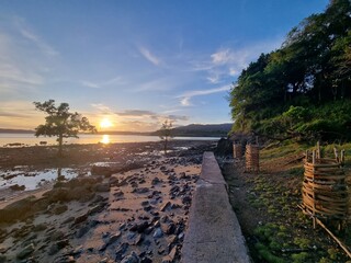 Fototapeta premium bridge between sand and grass