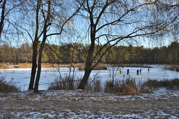 People playing hockey on winter forest frozen lake surrounded by trees in sunny weather under blue sky - Powered by Adobe