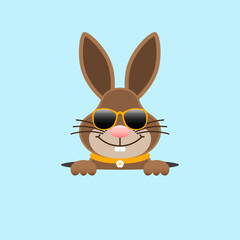 Obraz premium Osterhase Sonnenbrille Im Loch Blau