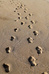 Footprints in the sand by the sea