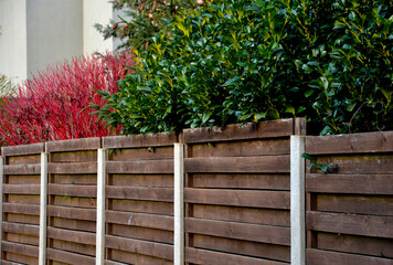 An evergreen shrub in front of a fence of light wood planks will improve the opacity of the street,...
