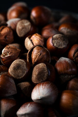 Fresh shelled hazelnuts in a bowl.