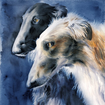 Watercolor illustration of two hunting greyhounds, white and fawn, on a dark background