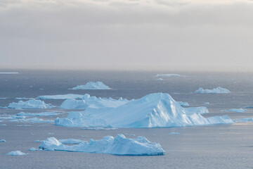 big icebergs floating over sea