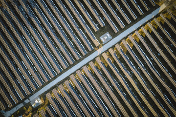 Obraz premium thousands of solar panels generating renewable energy