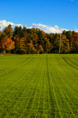 Autumn nature colors in Zurich