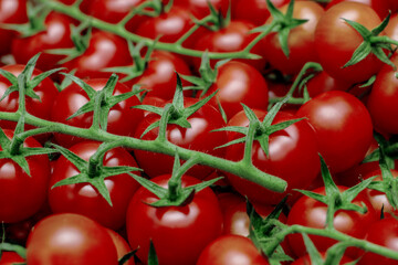 Red tomatoes background. Group of tomatoes