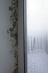 The slope wall near the window is covered with fungus. Mold in the house.