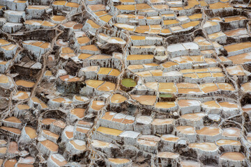 Salt field in Peru