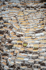 Salt field in Peru