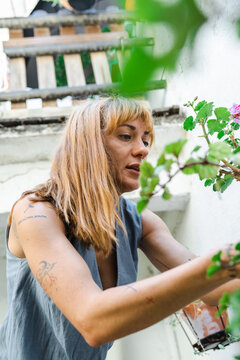 A woman pruning branches