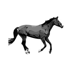 black and white sketch of a horse with a transparent background