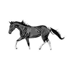black and white sketch of a horse with a transparent background