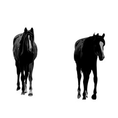 black and white sketch of a horse with a transparent background