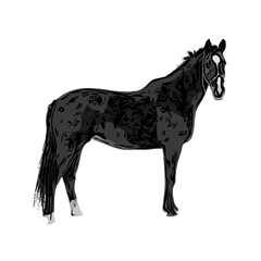 black and white sketch of a horse with a transparent background