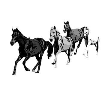 black and white sketch of a horse with a transparent background