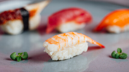 Close up of sashimi sushi set with chopsticks and soy, different sushi rolls on plate
