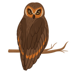 Cartoon brown owl sitting on branch. Forest bird, feathered wildlife animal, wise forest owl flat vector illustration on white background