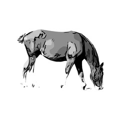 black and white sketch of a horse with a transparent background
