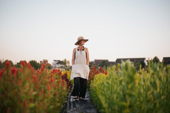Woman in a summer dress and hat harvests flowers in a field.
