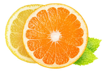 Slices of lemon and orange fruit over mint leaf