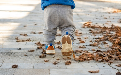 Baby's first steps. Running toddler outdoors. Walking kid among fall leaves