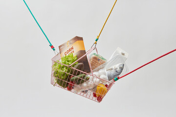 Fresh groceries in wire basket hung on ropes.